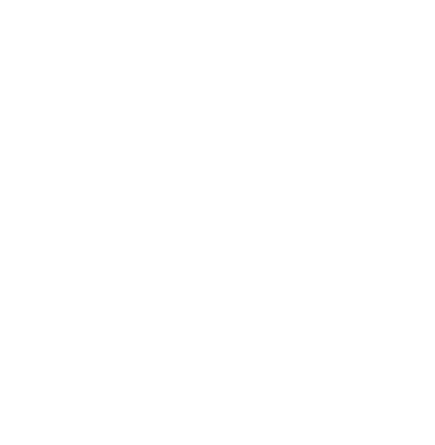 Vegax icon